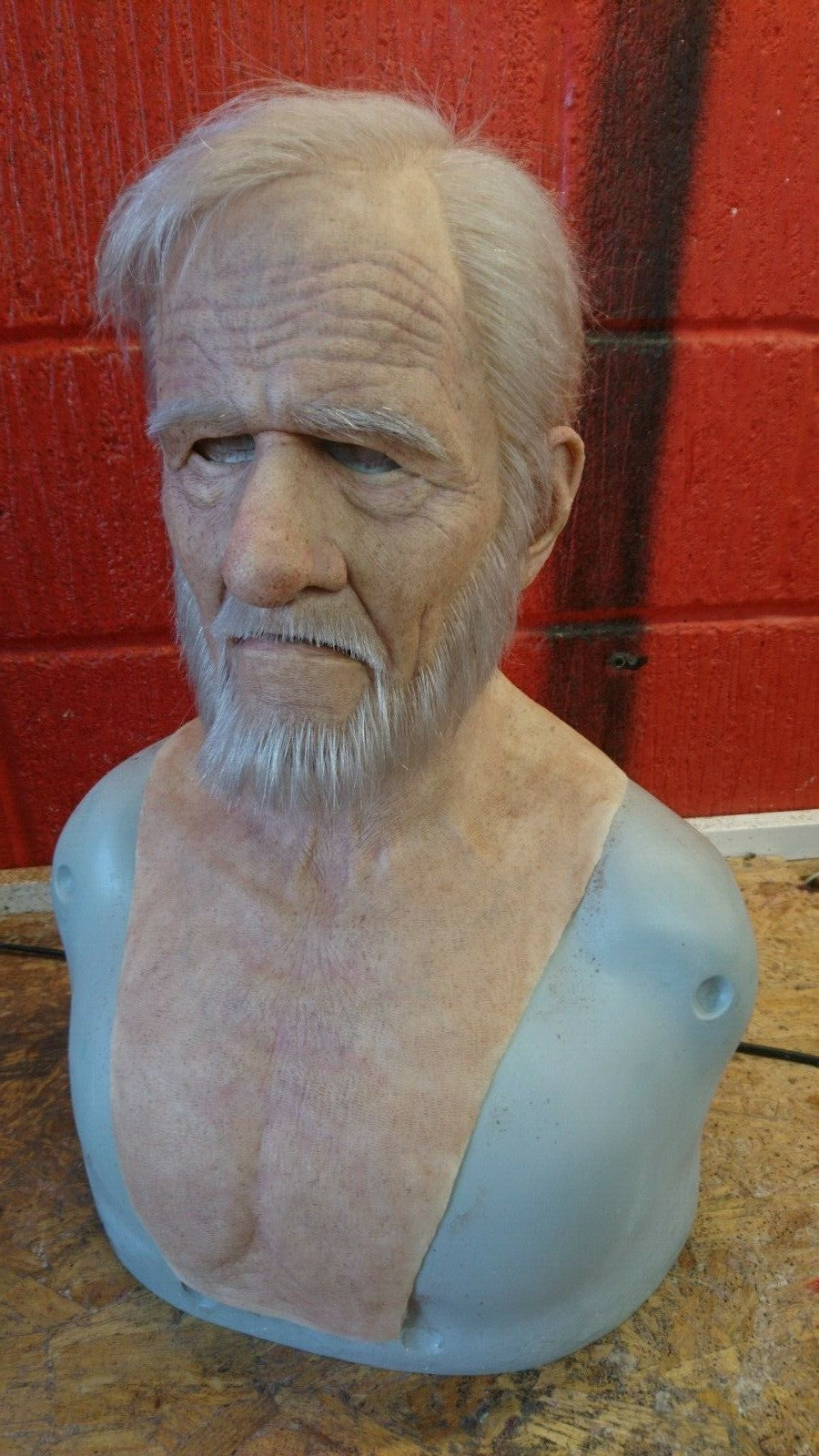 Stan old man with hand punched eyebrows and full hair, beard and mustache