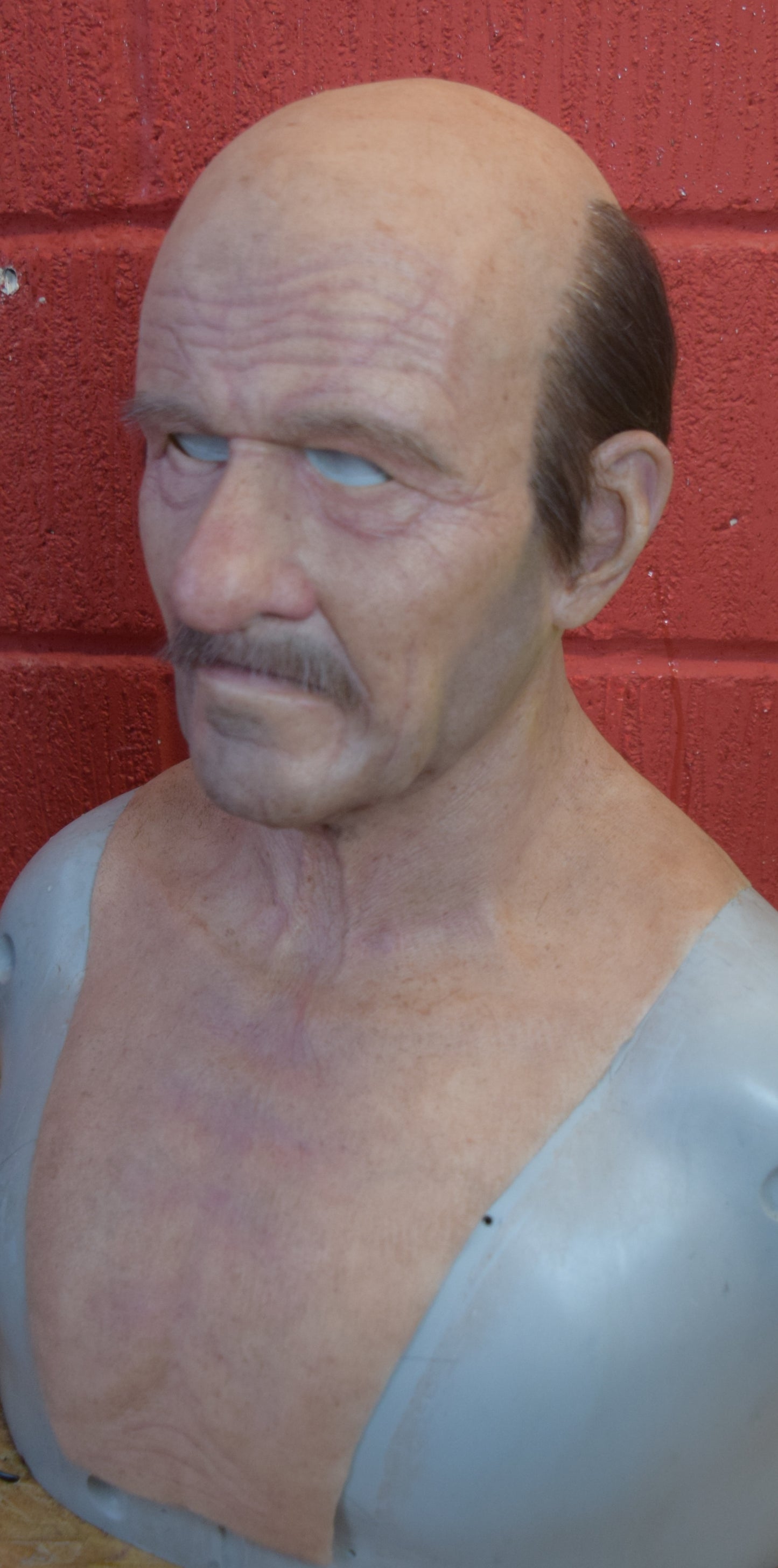 Stan old man with hand punched eyebrows, mustache and a horseshoe of hair