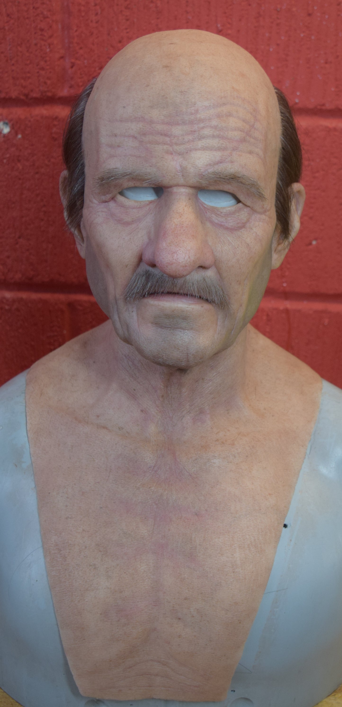 Stan old man with hand punched eyebrows, mustache and a horseshoe of hair