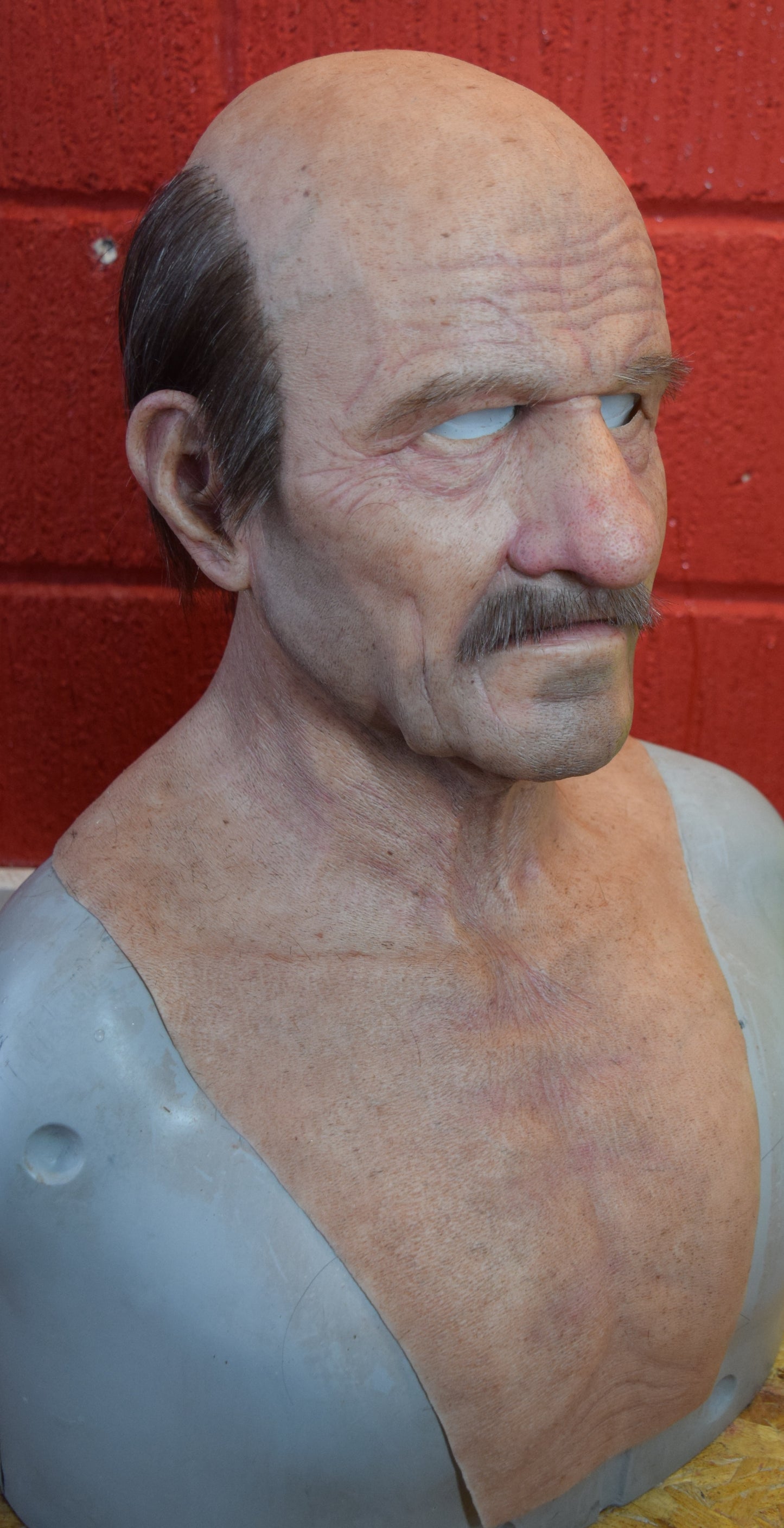 Stan old man with hand punched eyebrows, mustache and a horseshoe of hair