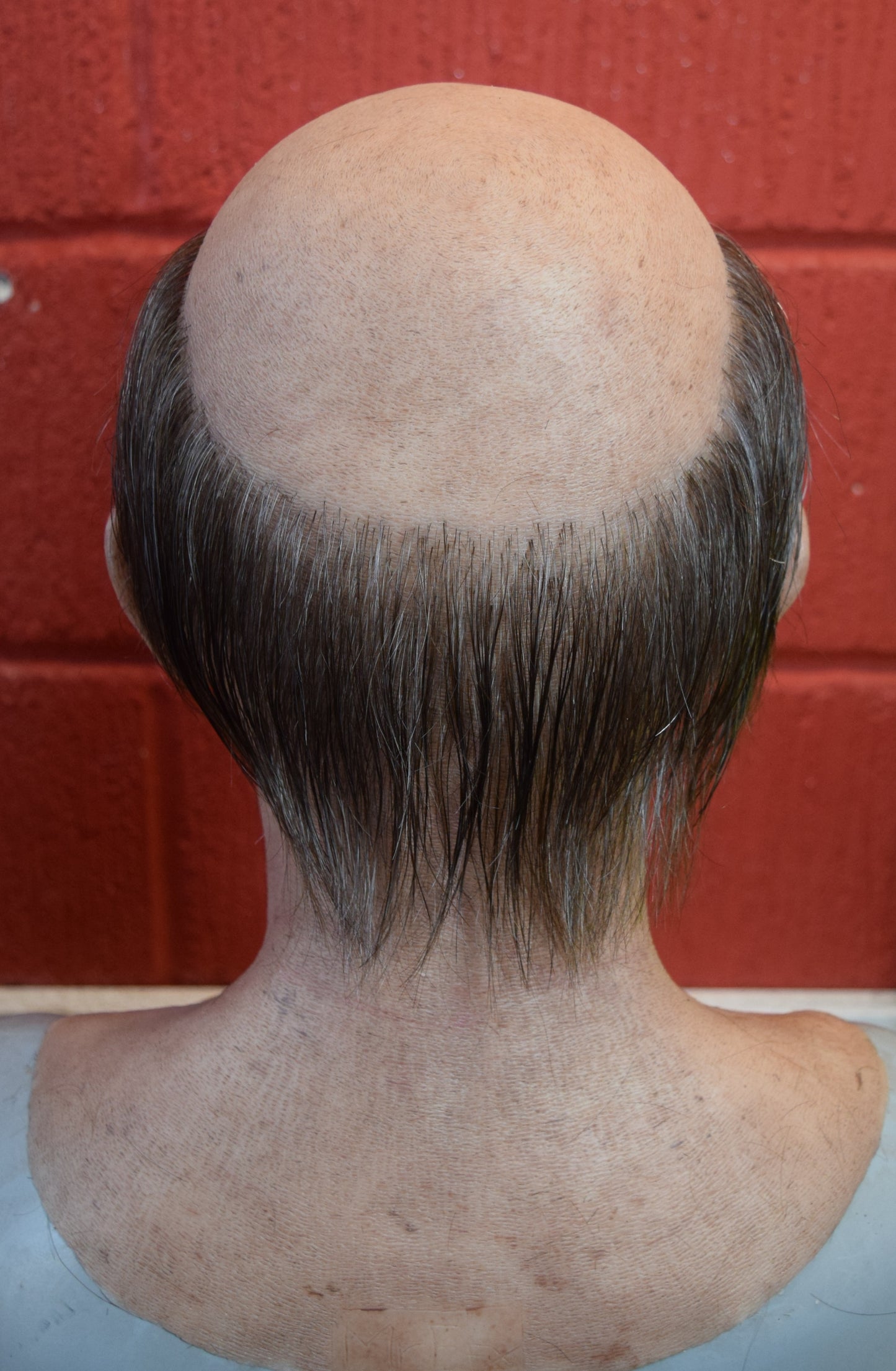 Stan old man with hand punched eyebrows, mustache and a horseshoe of hair