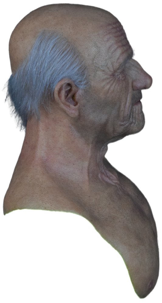 Albert with hand punched eyebrows and horseshoe of hair